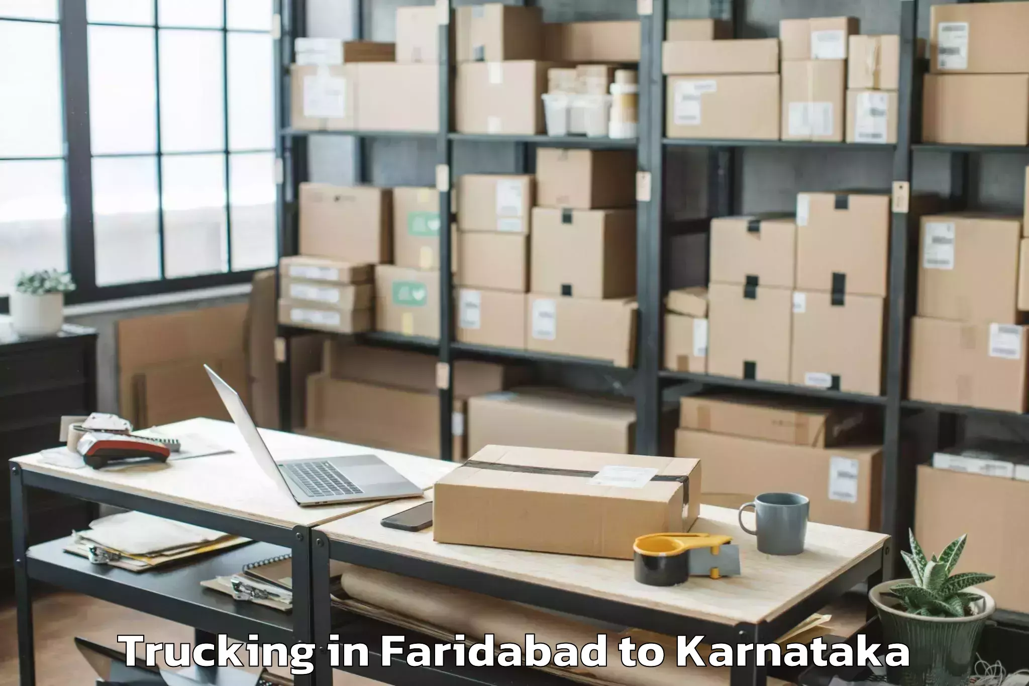 Book Faridabad to Kowthal Trucking Online